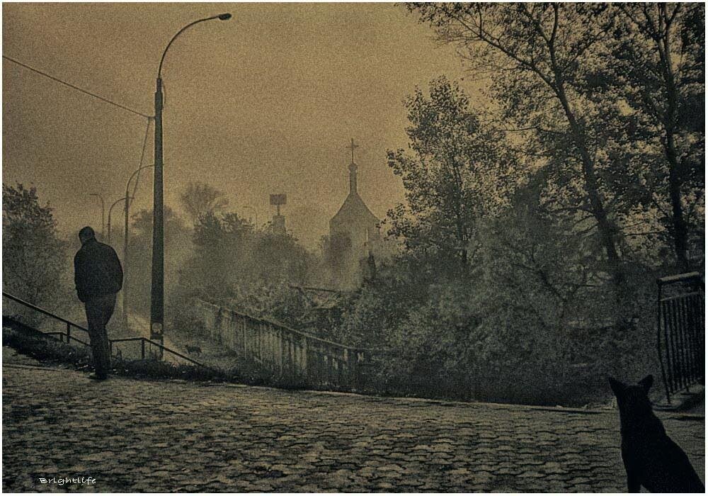 Яндекс картинки