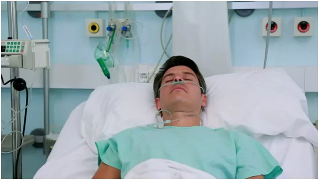 Яндекс Картинка