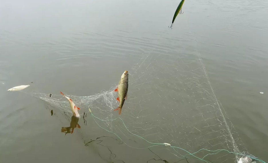 Фото с сайта astr-fishing.ru