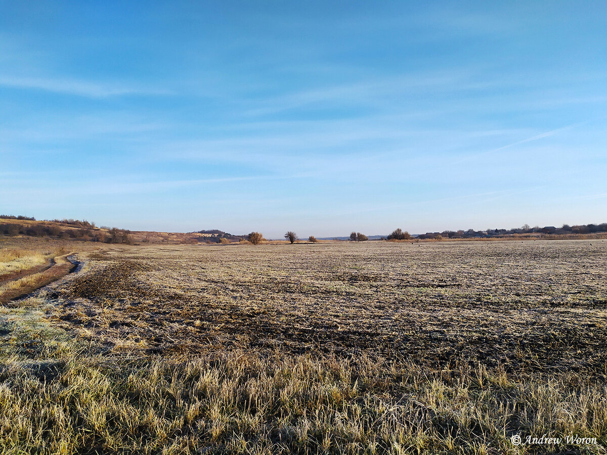 Поле за хутором, покрытое инеем