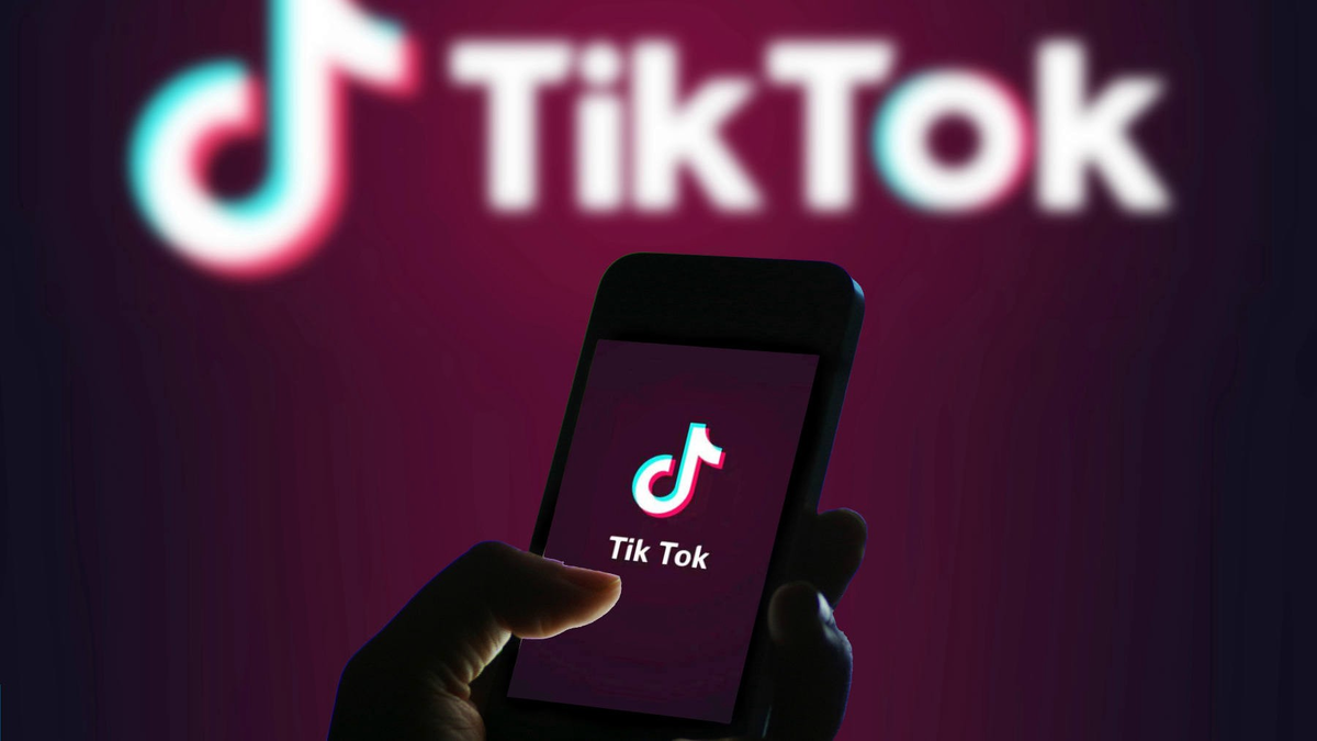 Как стать популярным в TikTok с нуля | YES PETS | Дзен