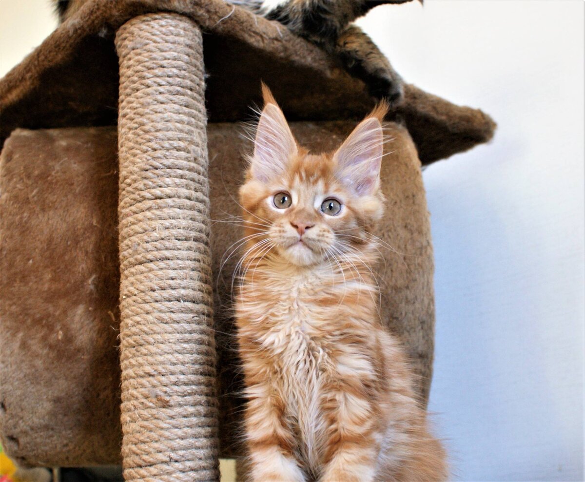 Фото из личного архива. 