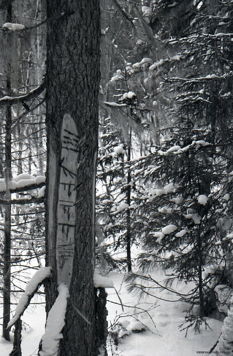 2.https://perevaldyatlova.ru/photo/