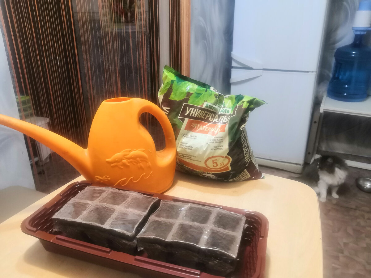 Многие дачники и садоводы сталкивались с таким заболеванием, как черная ножка у рассады.  Оно быстро распространяется и буквально за несколько дней уничтожает молодую поросль саженцев. Причиной образования черной ножки является грибок. Его споры могут оказаться как на семенах, так в почве. Поэтому обрабатывать нужно и посадочный материал, и почву, которую вы будете использовать для выращивания рассады. Сделать это можно марганцем, препаратом «Здоровая земля», а можно специальным средством «Фитоспорин», которое имеет более мягкий эффект. «Фитоспорин» в пасте содержит также гуминовое удобрение, поэтому  выступает, и как обеззараживатель и как стимулятор роста. Впоследствии семена обработанные раствором фитоспорина с гуми быстрее прорастают, меньше болеют, рассада  в такой, правильно обработанной земле, лучше растет. Семена перед посадкой нужно замочить в слабом растворе марганцовки или «Фитоспорина», оставив их так на двенадцать часов и только затем высаживать в землю, сильно не заглубляя. Сверху можно посыпать вермикулитом, он долго держит влагу и на поверхности земли не образуется корочка.  Поливать растения нужно часто, но понемногу. Если же случилось так, что рассада заболела, воспользуйтесь такими эффективными средствами, как  «Фиоспорин», «Реаниматор», «Глиокладин», разбавив их в воде и полив.  Учеными доказано, что у нас  на Урале третья световая зона и даже на окне света необходимого саженцам для роста и развития в январе и в феврале не хватает.  Поэтому не нужно рано начинать посадку семян на рассаду, если вы не планируете пользоваться специальными фито-лампами. Ранняя рассада в условиях низкой освещенности более хрупкая, дает меньше урожая. Оказавшись в  условиях недостаточной освещенности, семечко прорастает, но для укрепления и дальнейшего роста сил у него нет. Поэтому, заметив, что ваши саженцы не развиваются, лучше сделайте новую посадку рассады.  Неверно думать, что подсвечивание любыми лампами даст какие–либо результаты. Требуются специальные фито-лампы с определенным цветовым спектром, достаточной мощности. Например, светодиодные фитолампы используются из расчета 50 ват мощности на 1 кв.м., газоразрядные лампы Рефлакс 80 вт на 1 м.   Причем до пикировки для нарастания зеленой массы и корней требуется синий цвет, а после пикировки – для цветения и плодообразования – красный.  Подсвечивание – целая наука и к нему нужно подходить серьезно. Такие капризные растения, как петунии и прочие цветы лучше всего проращивать в торфяных таблетках. Где они хорошо развиваются и при переваливании в большой горшок  не травмируются. Для тех, кто хочет размножить орхидею, укоренив ее  цветонос, рекомендуем использовать цитокининовую пасту.  Сейчас огромный ассортимент сортов томатов, на любой вкус, но наибольшим спросом среди садоводов пользуются томаты сердцевидной формы. Из необычных сортов перцев можно назвать сорта с черной окраской, которые к тому же высокими вкусовыми качествами. Всегда рады видеть вас в наших магазинах, где вас ждет большой выбор семян, удобрений и садового инструмента по самым низким ценам в городе. Высоких вам урожаев!
