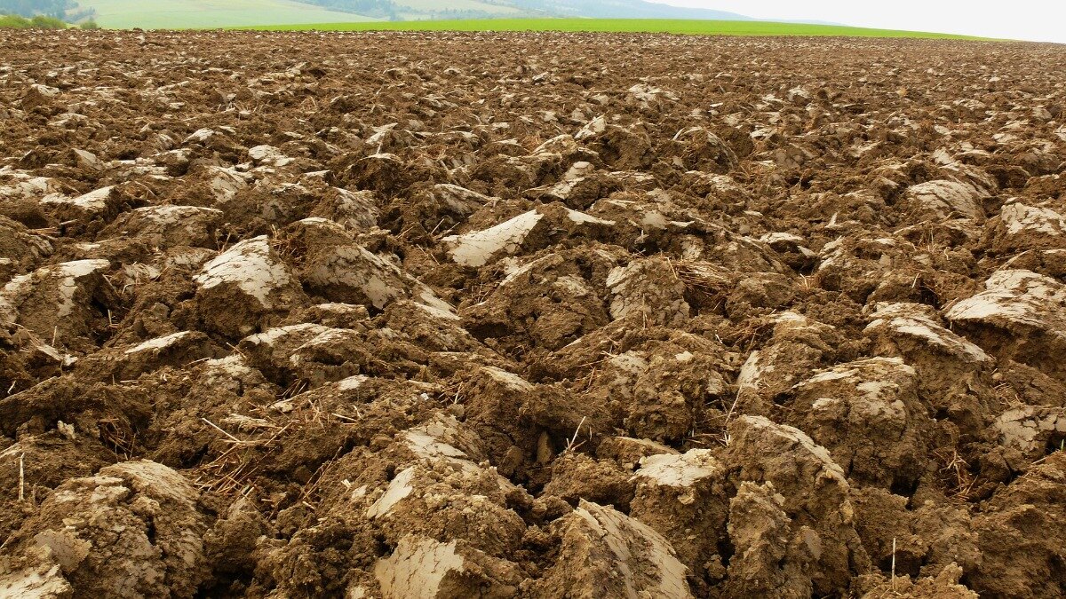 Фото:pixabay.com