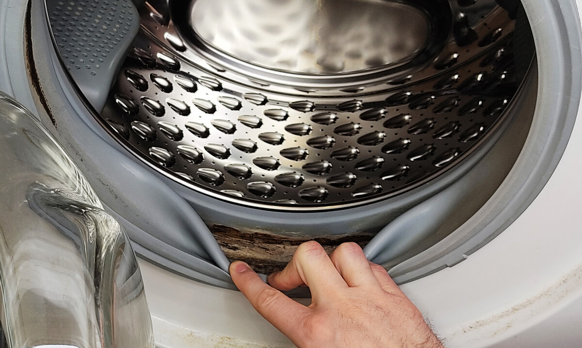Почему в барабане стиральной машины появляется вода. Резиновые штуки для стиральной машины.