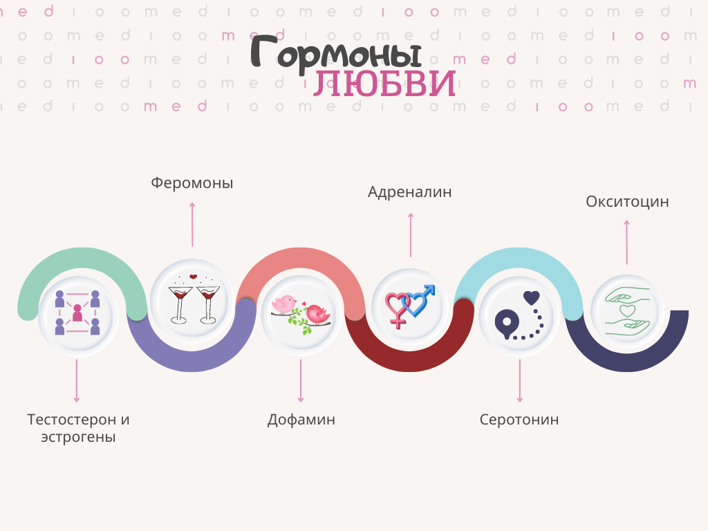 Половые гормоны: подробный обзор их влияния на организм, фигуру и либидо | PSYCHOLOGIES