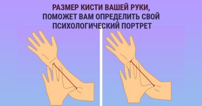 Изображение взято с открытых источников