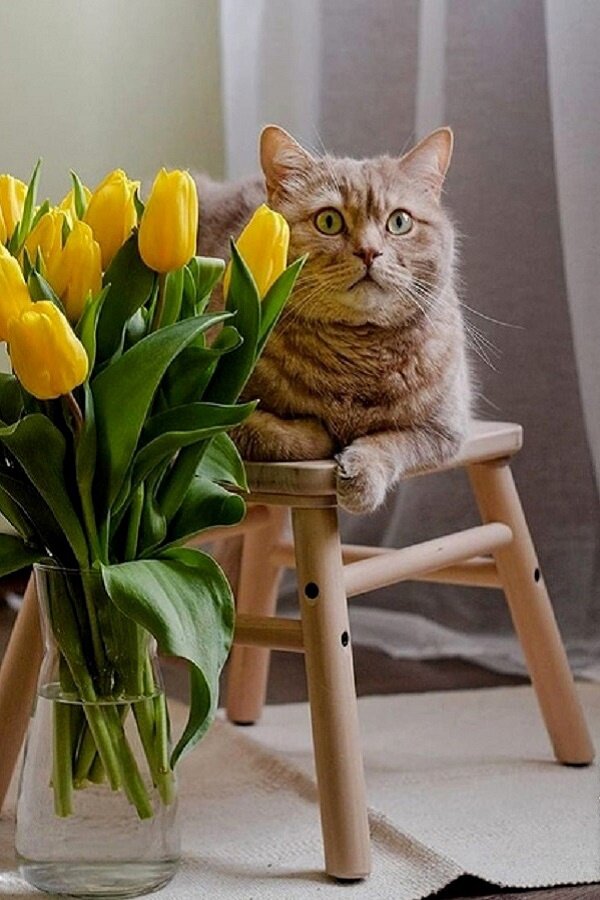 иллюстрация из яндекс картинки.