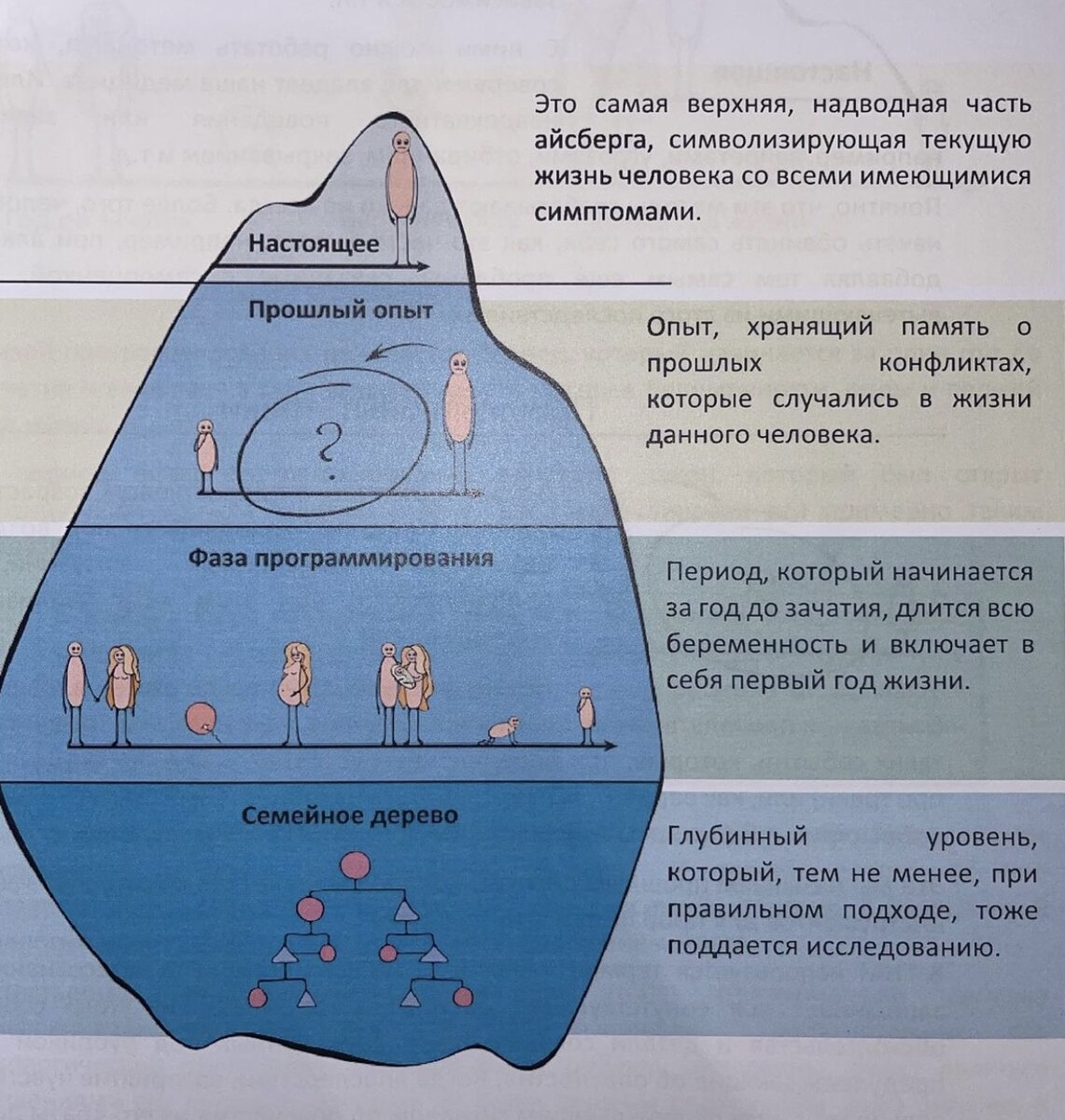 Схема вашей жизни и её сценария.