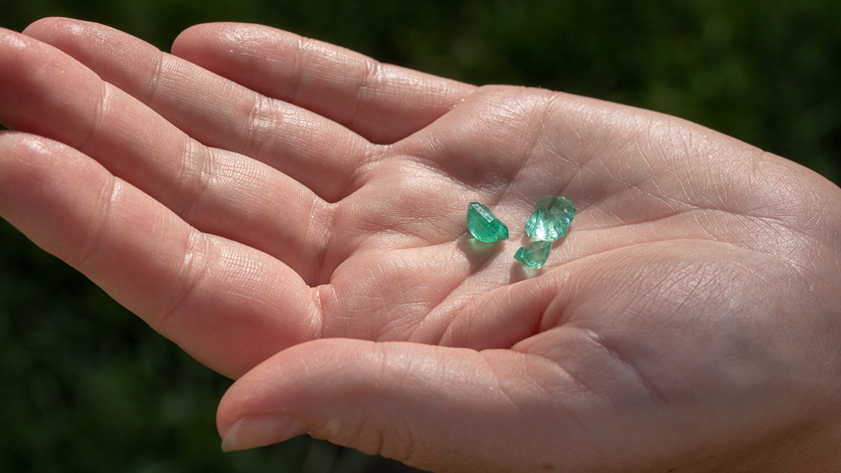 Фото: Levon Avagyan / Shutterstock