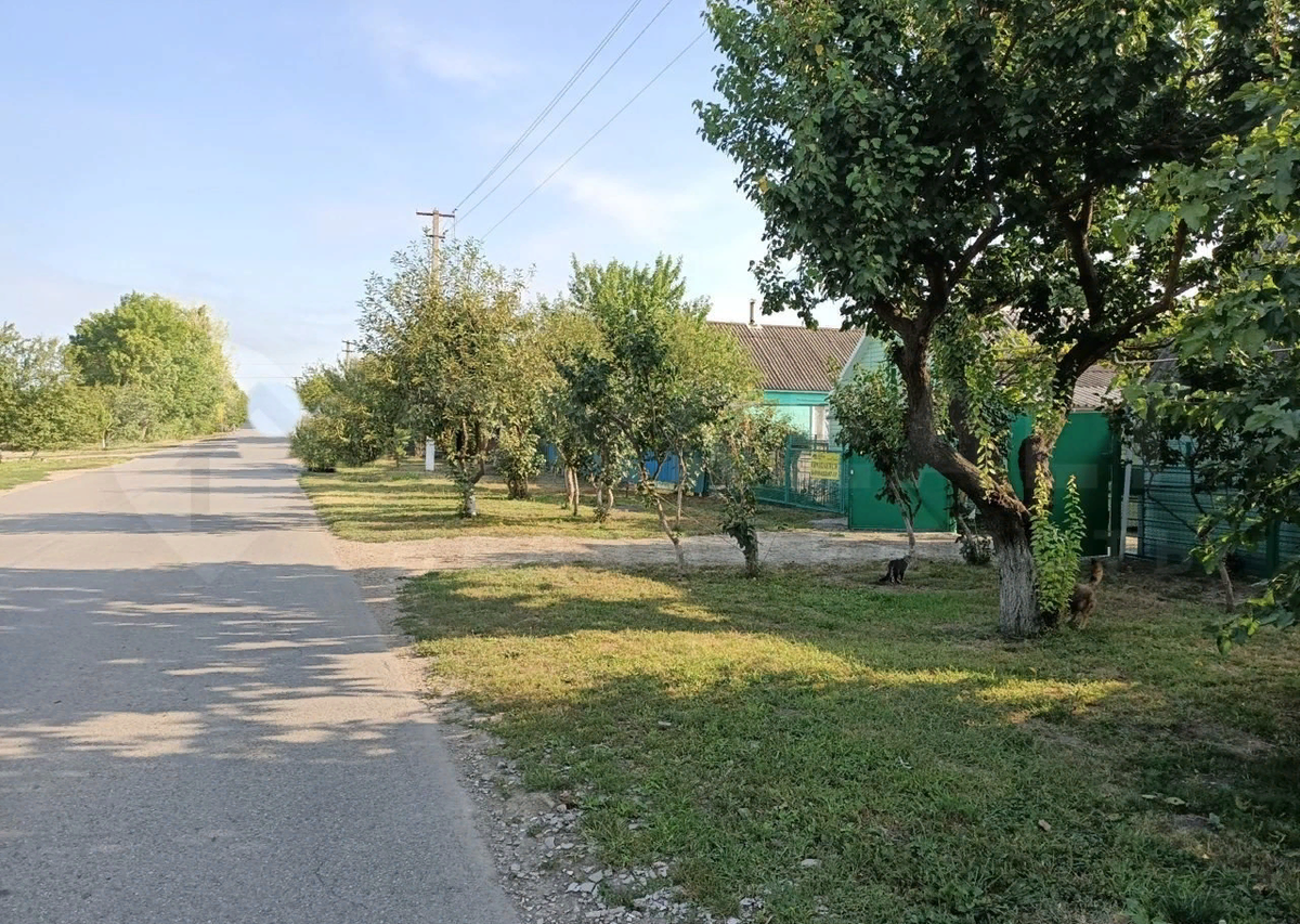 Фото из открытого источника. Станичная улица.