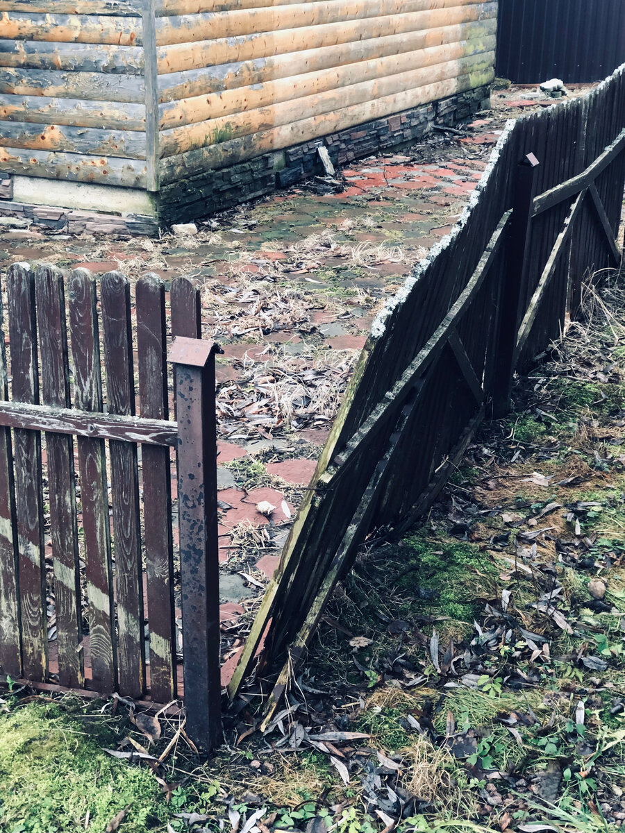 Это наш забор, который мы будем менять. Везде фото автора. 