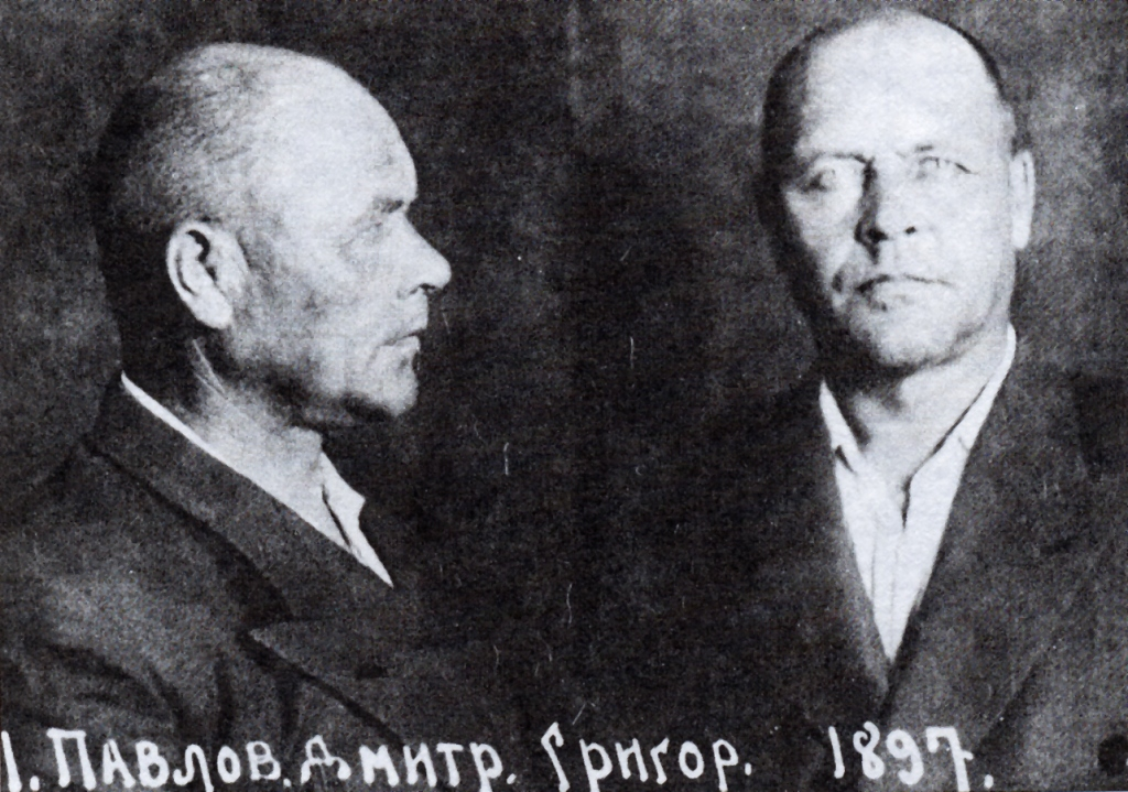 Павлов д т. Командующий западным фронтом в 1941 Павлов. Павлов д г генерал армии.