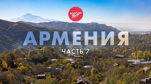 Рогозин трип дзен
