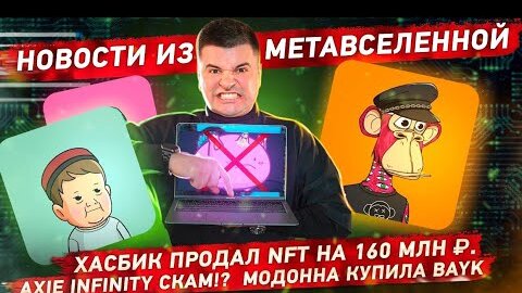Нфт картинки хасбик