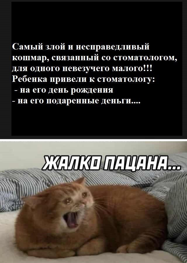 Фото из свободных источников.