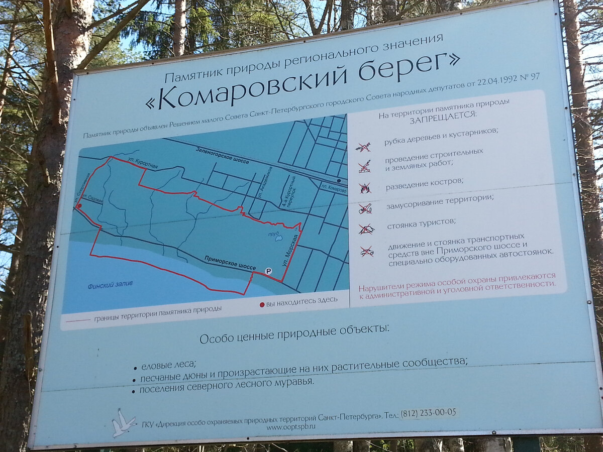 "Комаровский берег"
