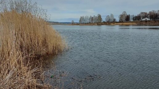 У воды