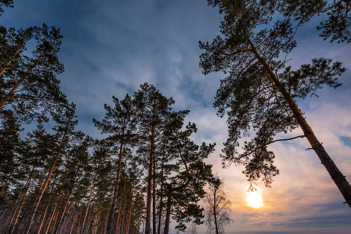 карта западной сибири с городами. самый западный город сибири. состав восточной сибири экономического района. западная и восточная сибирь на карте. самый западный город сибири.