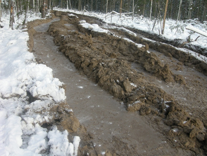 Разрушение почво-грунтов форвардером. Томская область. Фото автора.