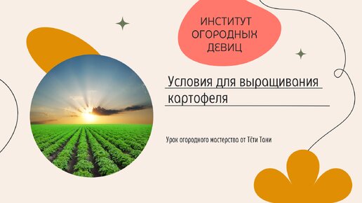 Условия для выращивания картофеля