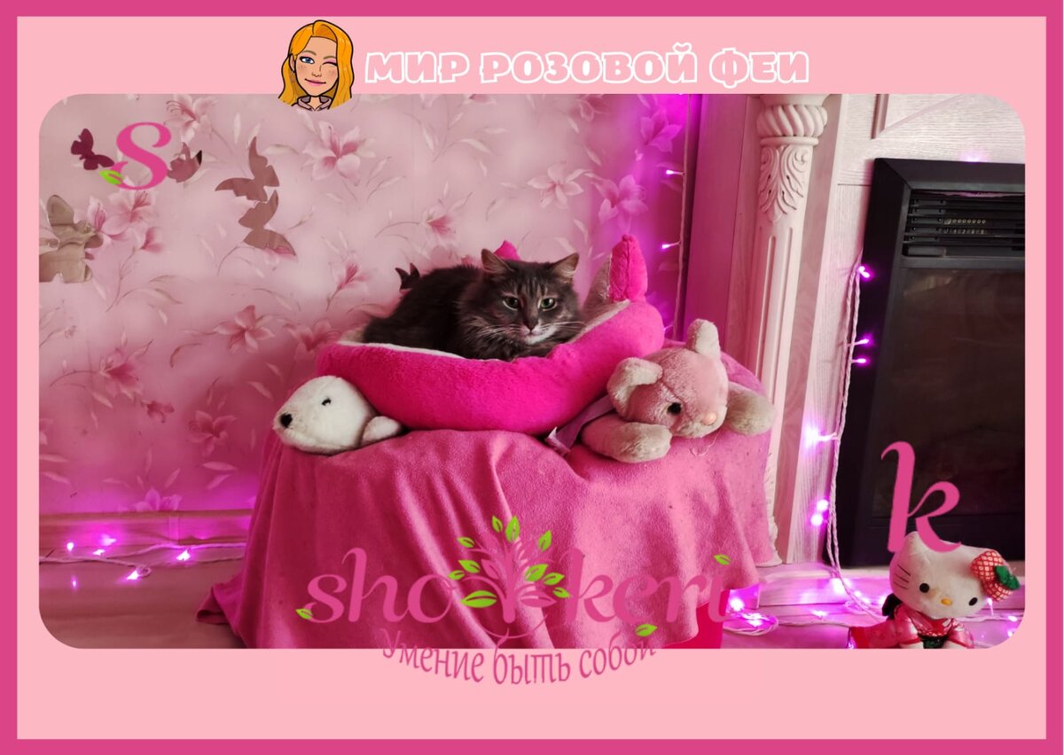 Почему кошки гоняются за собственным хвостом? | 🌸Мир розового света🎀 |  Дзен