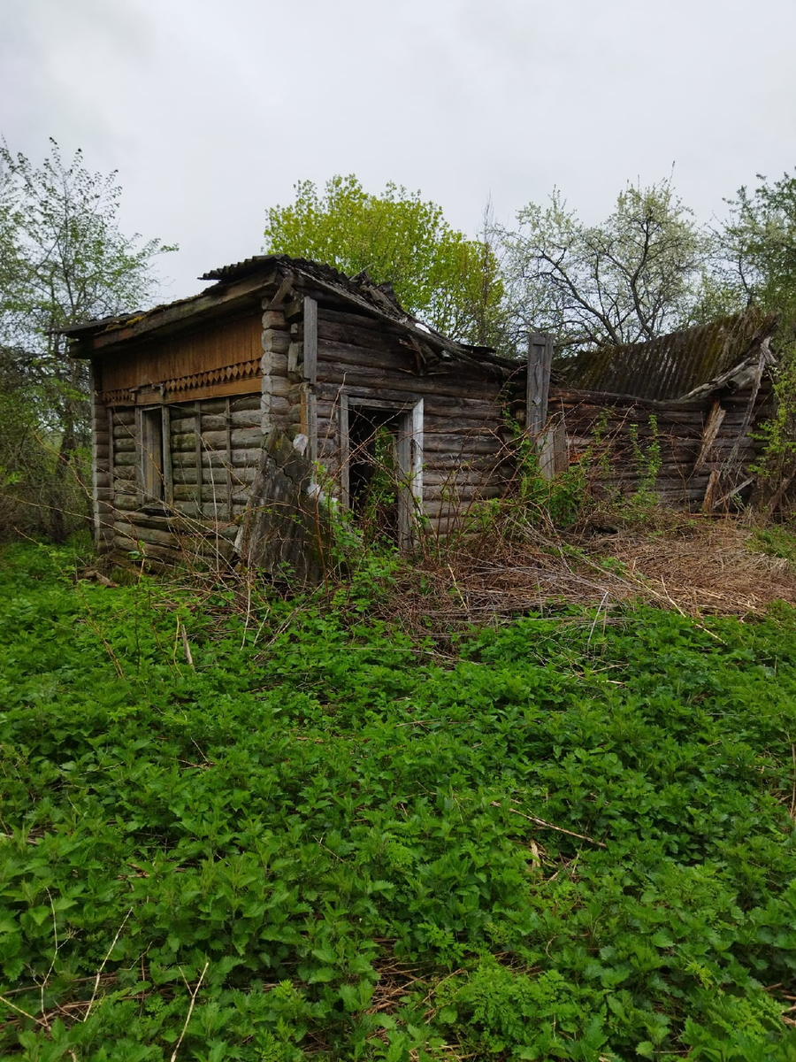 Майский коп с металлоискателем в Калужской области. Нашли знак за взятие  Парижа 1940 года | В окружении мира | Дзен