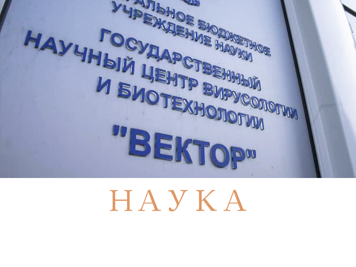 Новости - наука