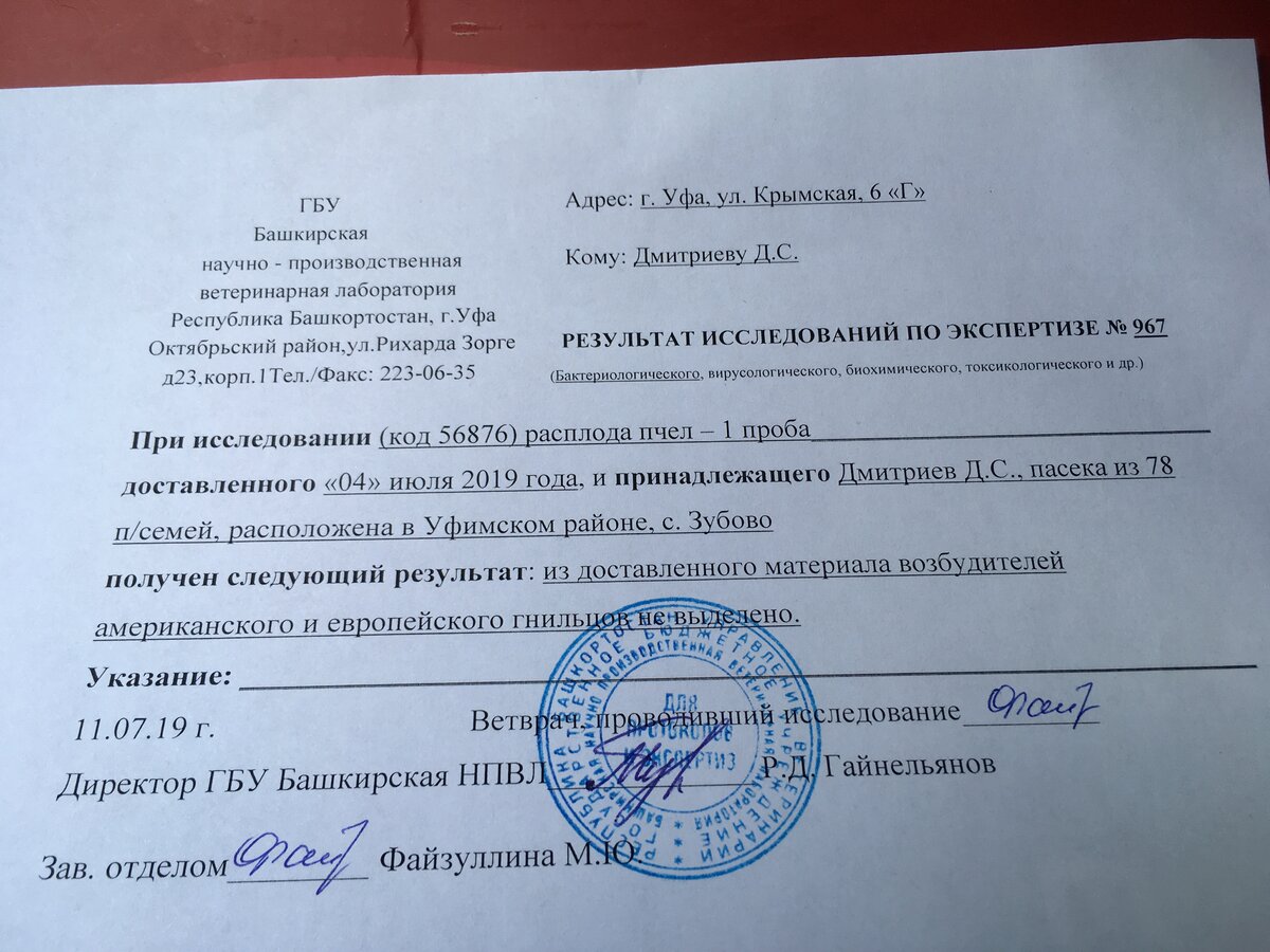 ото Яндекс  картинки