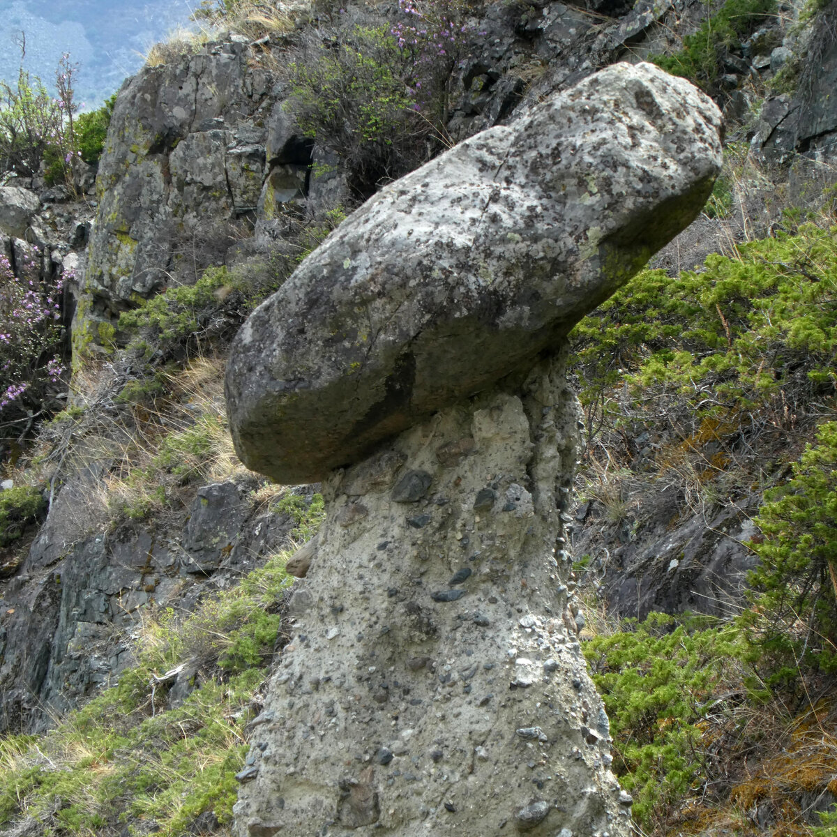 Урочище Аккурум с Каменными грибами - одно из чудес России, сотворённое самой природой, всего в 34 км от перевала Кату-Ярык.-5-5