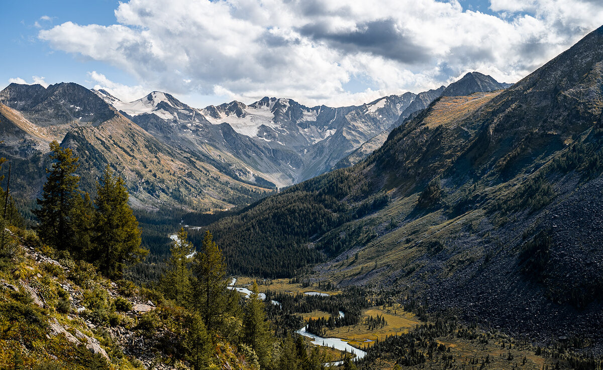 Текст песни Фелика Алтай / слова песни Алтай (Фелика). Felika, Blass Music, 2022 ©