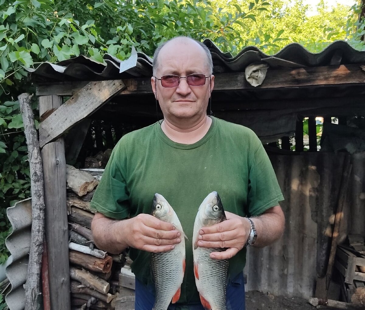 Наконец то подобрал ключ к этой рыбке! На прошлых рыбалках были его поклевки на фидер на опарика. К сожалению я их не смог реализовать, он рвал поводки даже 016! По этому решил поставить на ин-лайн скрутку из бисерной резины длинной в 15 см и при диаметре поводка в 012, длинной в 1 метр он не смог порвать! Две его поклевки - "отдай удилище" и две рыбины в садке. 