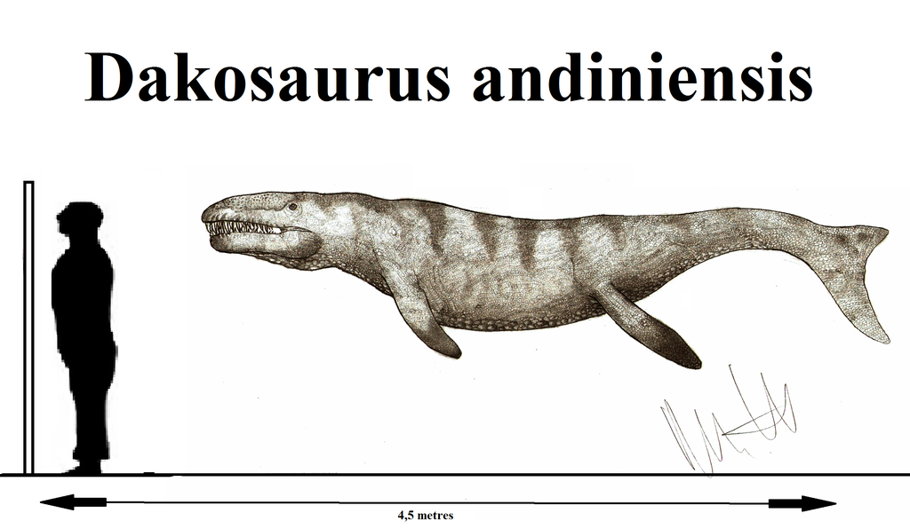 Dakosaurus by Robinson Kunz