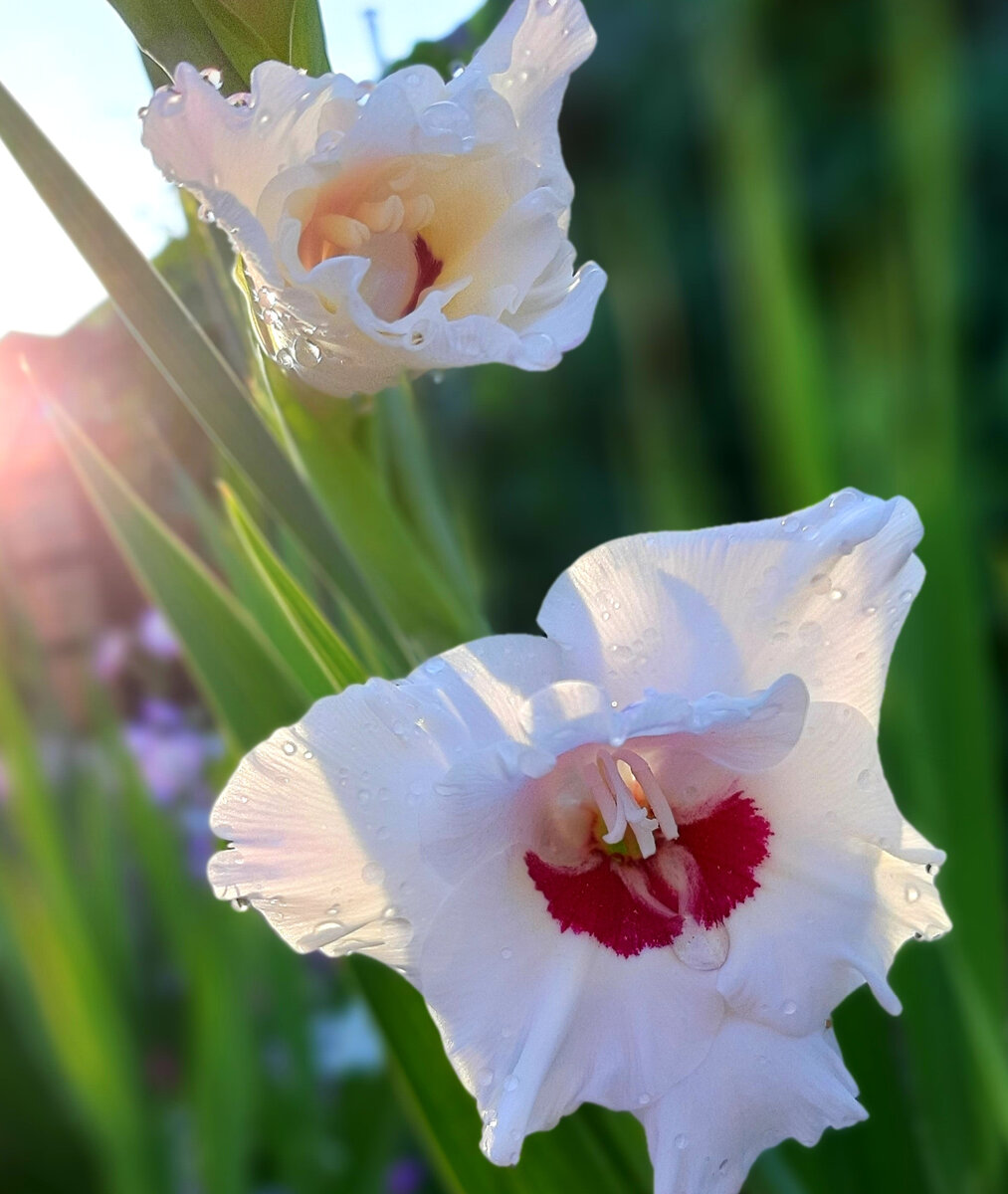 Порадуйтесь вместе со мной...