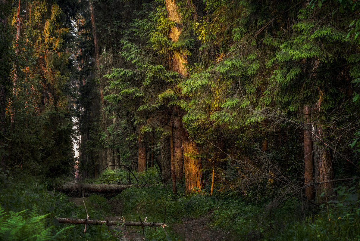 Изображение из интернета