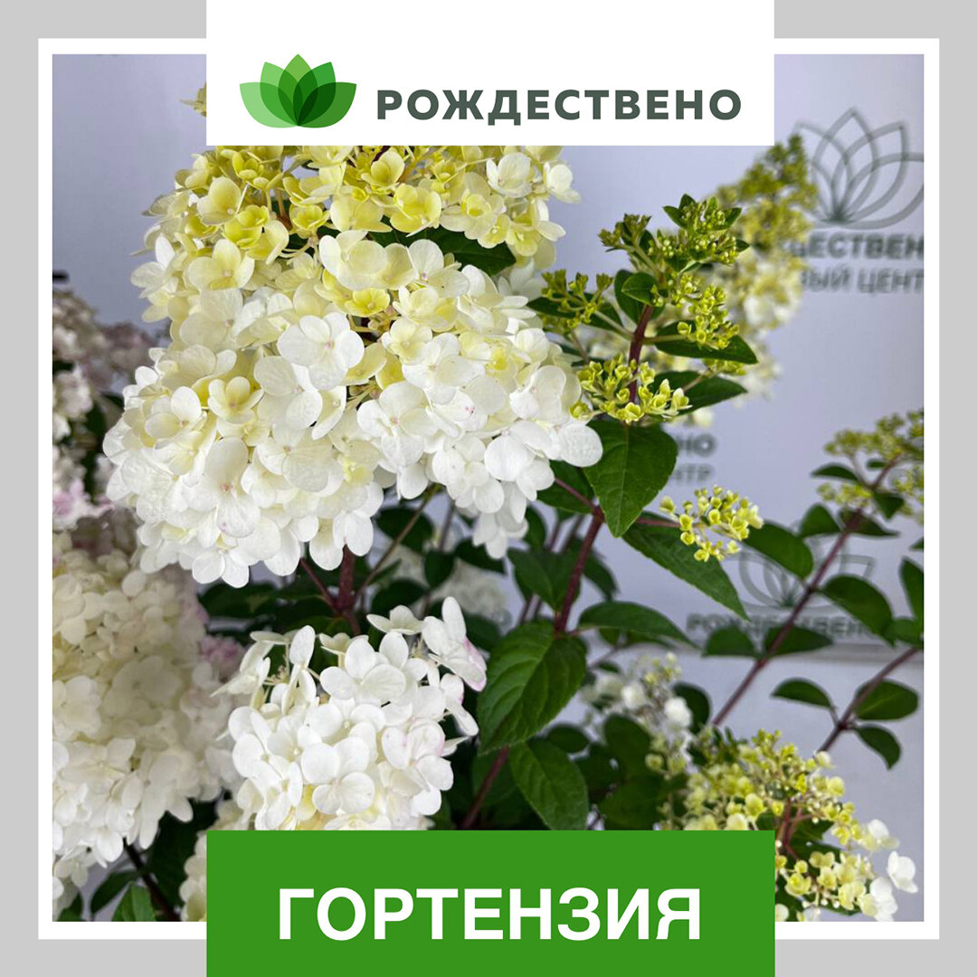 Фото: Анастасия Юрко