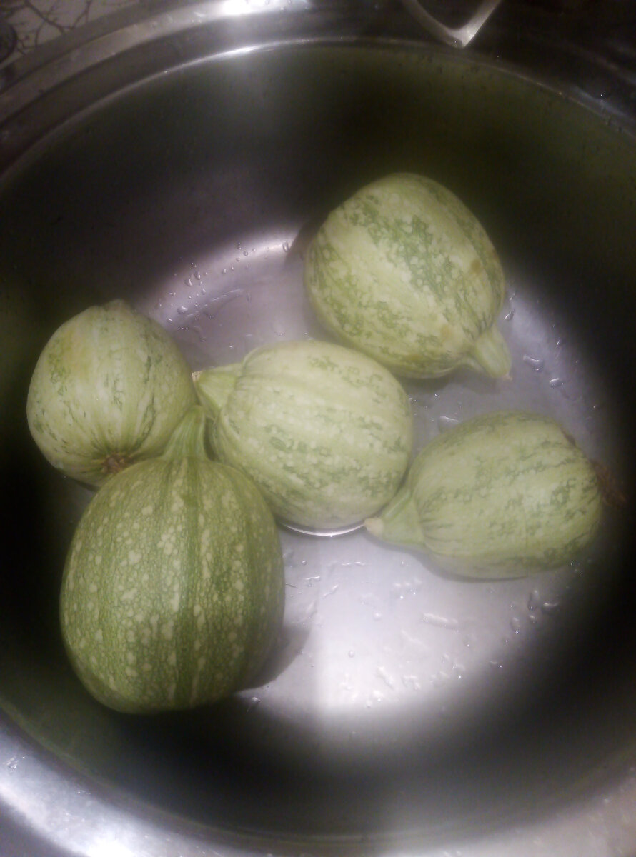 Не удивляйтесь, это кабачки 