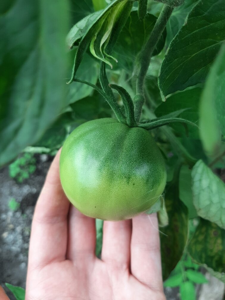 Совсем другой