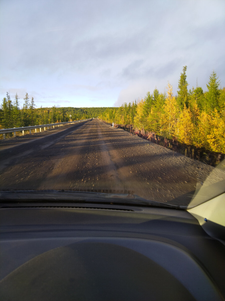 Дорога в порт, она же по грибы