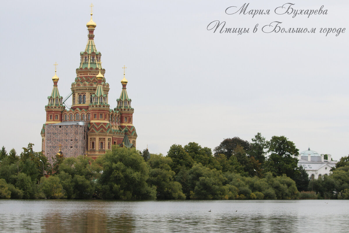 Собор Петра и Павла 