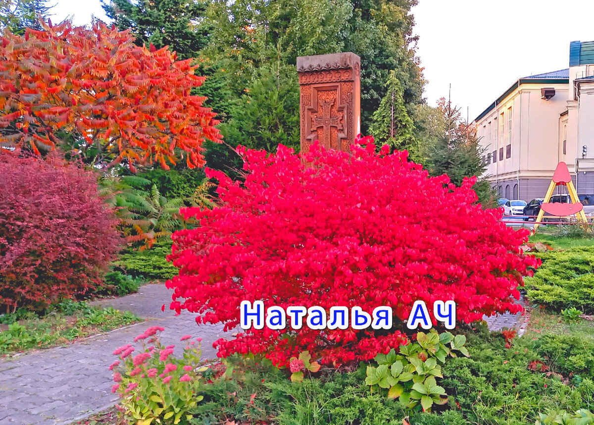 Фотография сделана мною