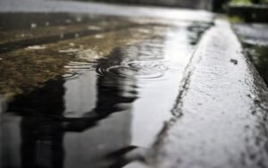    Фото: pixabay.com Игорь Чамовских