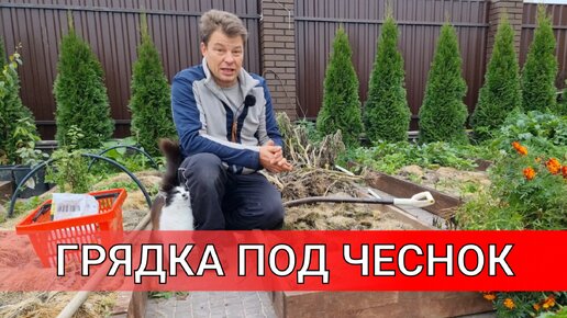 ХОЧЕШЬ КРУПНЫЙ ЧЕСНОК? Как я готовлю ГРЯДКИ ДЛЯ ПОСАДКИ ЧЕСНОКА какие удобрения и сколько надо вносить под чеснок