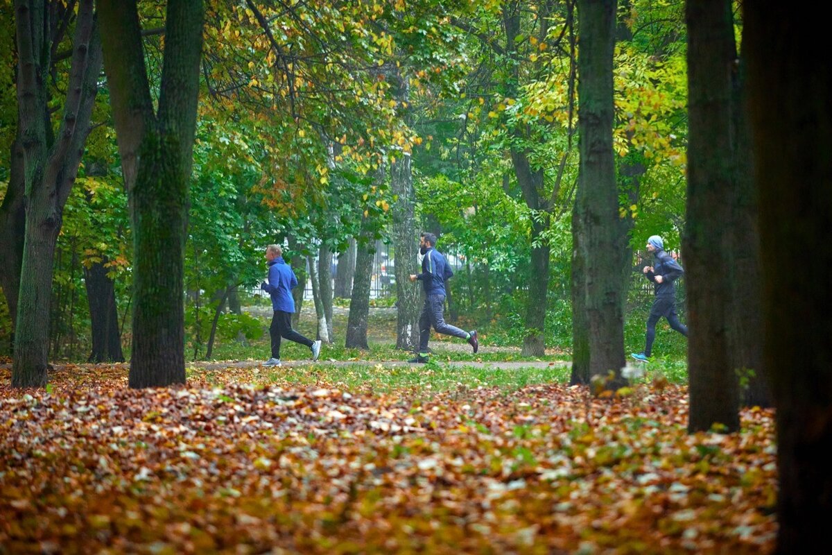Фото Андрея Баскакова, Наташинский парк, Люберцы