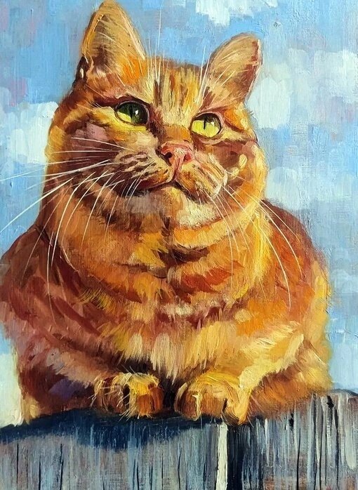 Фото взято из сети интернет 