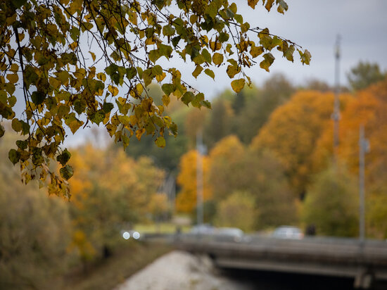     Ночные заморозки придут в Псковскую область Александр Елисеев
