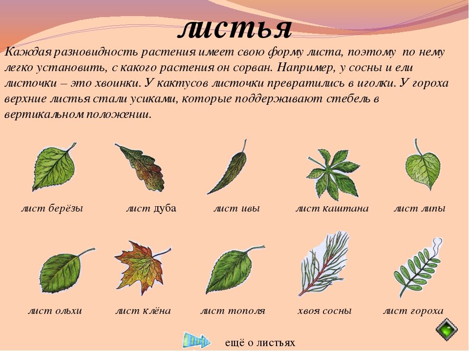 А ты подпишись чтобы не пропустить интересное!