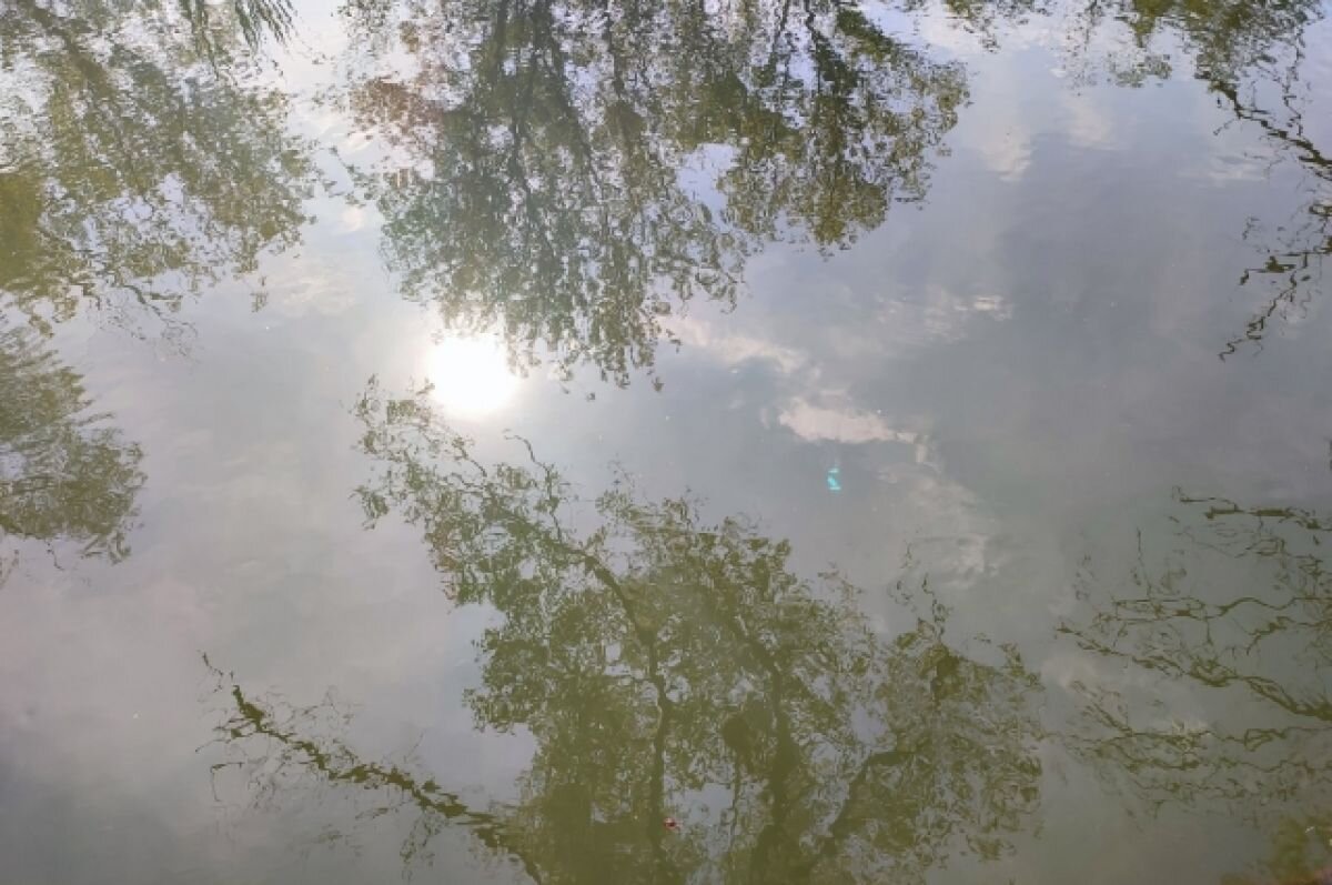    Пробы воды в ЖК «Изумрудный» взяли экологи после жалоб местных жителей