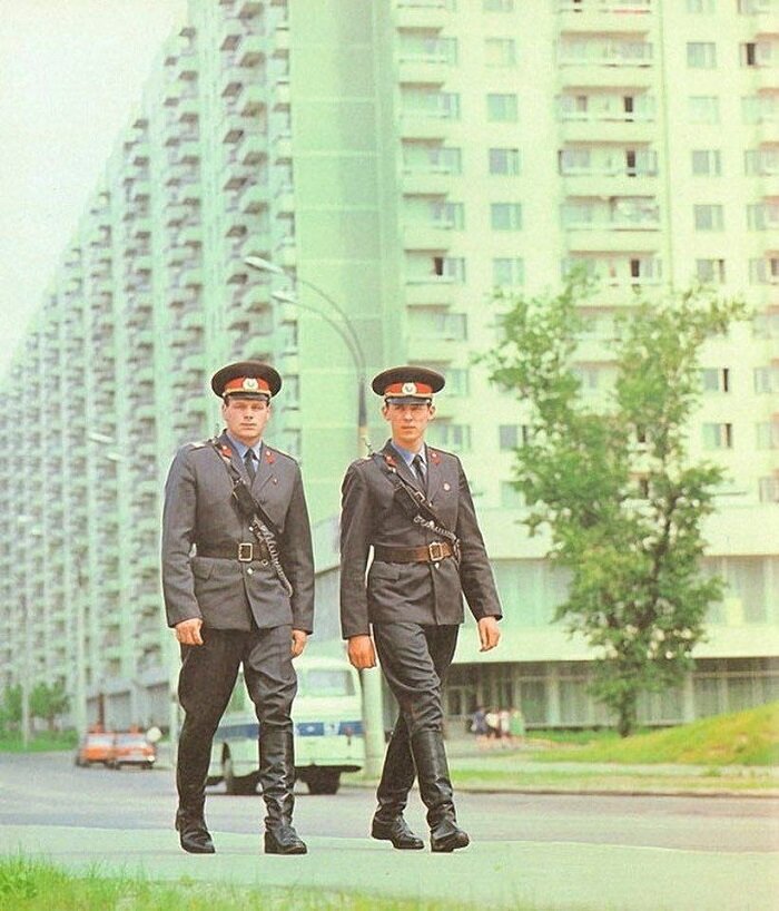 Изображение Яндекс Картинки.
